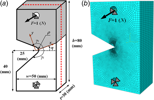 The geometry, dimensions, and loading condition of the samples which are used to simulate the specimens in finite element analysis
