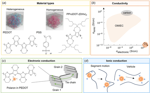 Overview of OMIECs: (a) representative molecular structures of heterogeneous (PEDOT:PSS) and homogeneous (PProDOT-(EtHx)2) OMIECs, (b) electronic and ionic conductivities of OMIECs, (c) mechanism of electronic conduction in PEDOT, including polaron formation, intrachain and interchain transport, and (d) mechanism of ionic conduction, including segment motion and vehicle motion