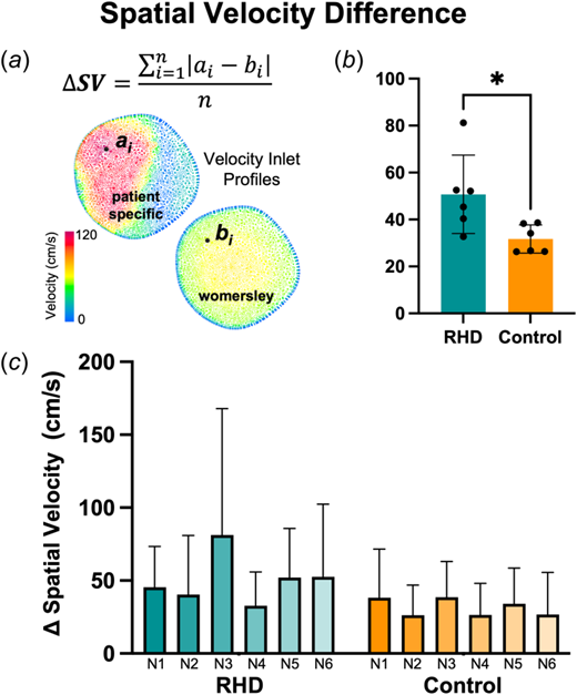 Mean ΔSV (a) measured by taking the absolute difference in velocity between subject-specific (ai) and Womersley (bi) inlet profiles at each node during peak systole and dividing by the total number of nodes (n). Mean ΔSV (b) shows significant differences between groups, with (c) each individual's ΔSV visualized below. ΔSV = spatial velocity difference; ai = subject-specific node; bi = Womersley node; and n = total number of nodes on inlet surface. *p<0.05.