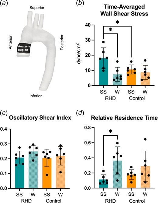 Panel (a) shows a representative analysis region in the ascending thoracic aorta for wall shear stress, oscillatory shear index, and relative residence time values. Significant differences in mean time-averaged wall shear stress (b) were found between subject-specific RHD and control groups, as well as subject-specific and Womersley RHD simulations. Mean oscillatory shear index (c) showed no significant differences between groups. Significant differences in relative residence time (d) were found between subject-specific and Womersley RHD simulations. SS = subject-specific; W = Womersley. *p<0.05.